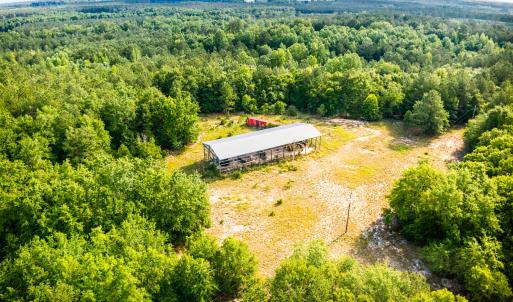 Photo #4 of 3232 Adams, Morven, NC 34.9 acres
