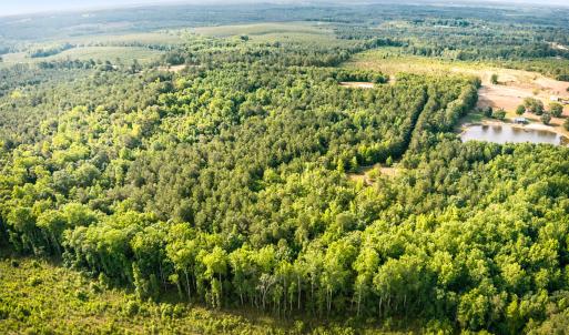 Photo #10 of 3232 Adams, Morven, NC 34.9 acres