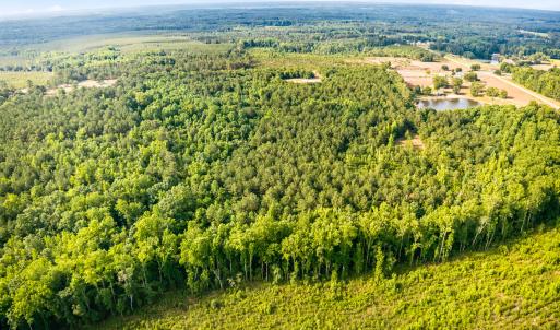 Photo #13 of 3232 Adams, Morven, NC 34.9 acres