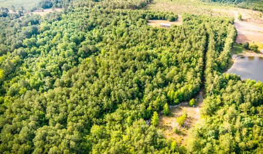 Photo #8 of 3232 Adams, Morven, NC 34.9 acres