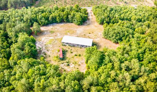 Photo #7 of 3232 Adams, Morven, NC 34.9 acres