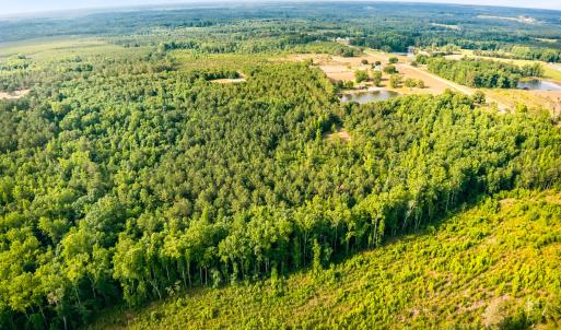 Photo #12 of 3232 Adams, Morven, NC 34.9 acres