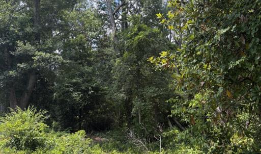 Photo #7 of Tbd Us-220, Ellerbe, NC 26.7 acres