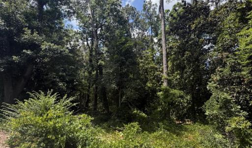 Photo #9 of Tbd Us-220, Ellerbe, NC 26.7 acres