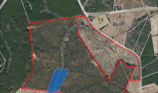 Photo #19 of Tbd Everett Chappell, Ellerbe, NC 213.0 acres