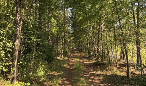 Photo #11 of Tbd Everett Chappell, Ellerbe, NC 213.0 acres
