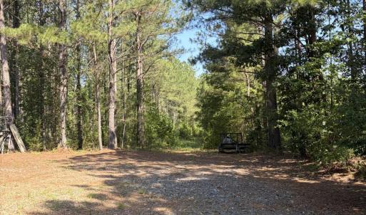 Photo #15 of Tbd Everett Chappell, Ellerbe, NC 213.0 acres