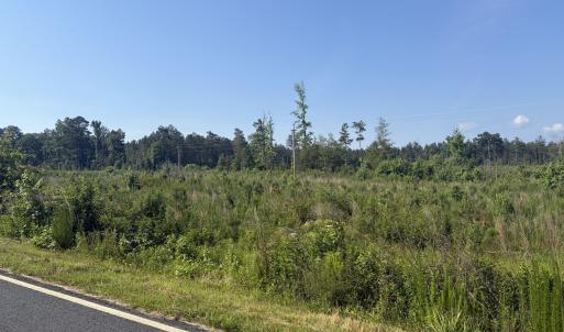 Photo #2 of Tbd Everett Chappell, Ellerbe, NC 213.0 acres