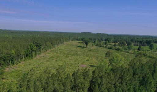 Photo #24 of Tbd Everett Chappell, Ellerbe, NC 213.0 acres