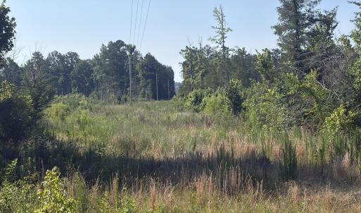 Photo #8 of Tbd Everett Chappell, Ellerbe, NC 213.0 acres