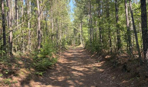 Photo #12 of Tbd Everett Chappell, Ellerbe, NC 213.0 acres