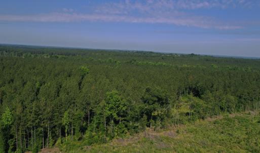 Photo #25 of Tbd Everett Chappell, Ellerbe, NC 213.0 acres