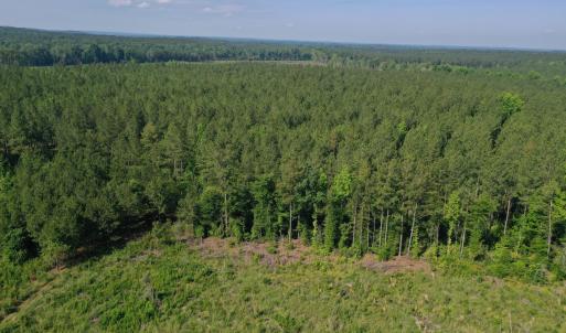 Photo #26 of Tbd Everett Chappell, Ellerbe, NC 213.0 acres