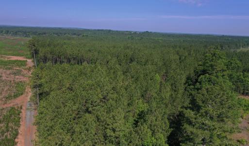 Photo #22 of Tbd Everett Chappell, Ellerbe, NC 213.0 acres