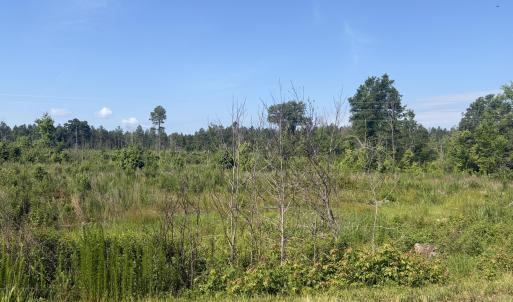 Photo #1 of Tbd Everett Chappell, Ellerbe, NC 213.0 acres
