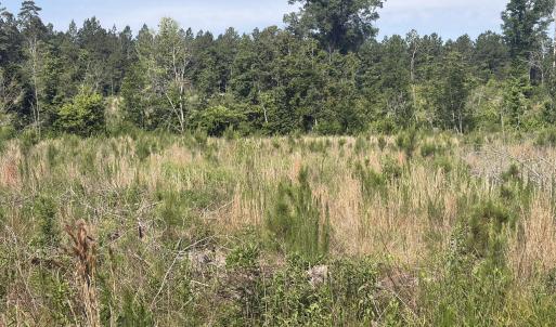 Photo #7 of Tbd Everett Chappell, Ellerbe, NC 213.0 acres