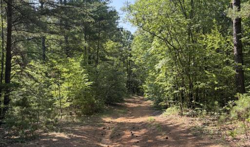 Photo #21 of Tbd Green, Ellerbe, NC 141.0 acres