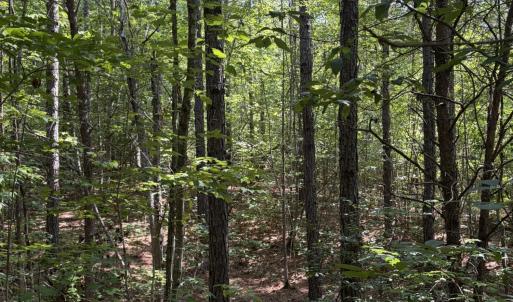 Photo #20 of Tbd Green, Ellerbe, NC 141.0 acres