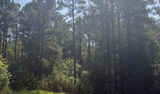 Photo #16 of Tbd Green, Ellerbe, NC 141.0 acres
