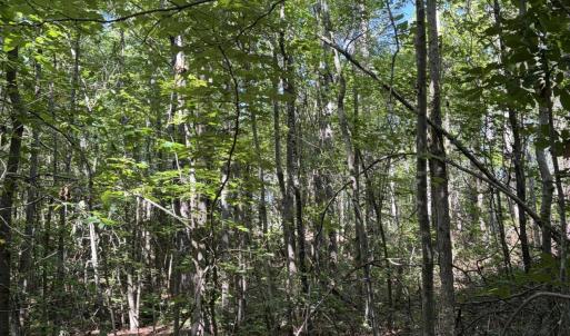 Photo #7 of Tbd Green, Ellerbe, NC 141.0 acres