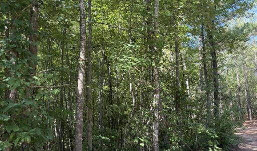 Photo #5 of Tbd Green, Ellerbe, NC 141.0 acres