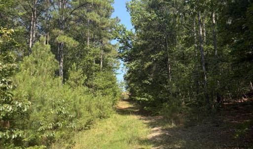 Photo #17 of Tbd Green, Ellerbe, NC 141.0 acres