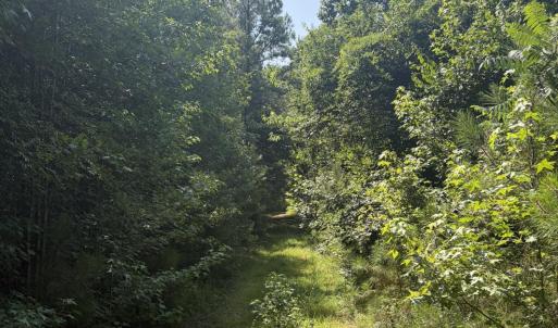 Photo #18 of Tbd Green, Ellerbe, NC 141.0 acres