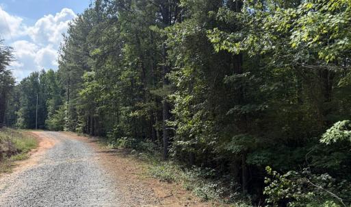 Photo #3 of Tbd Green, Ellerbe, NC 141.0 acres