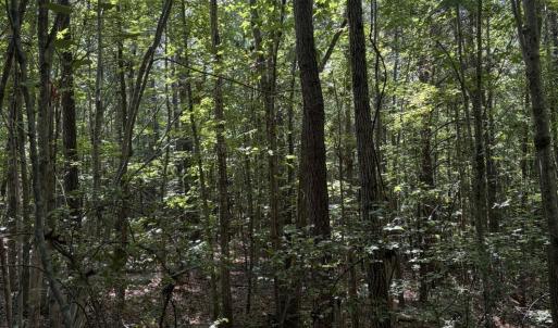 Photo #8 of Tbd Green, Ellerbe, NC 141.0 acres