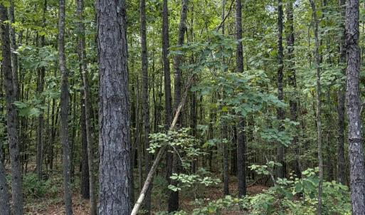 Photo #10 of Tbd Green, Ellerbe, NC 141.0 acres