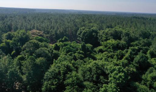Photo #27 of Tbd Jones Spring Church, Ellerbe, NC 154.4 acres