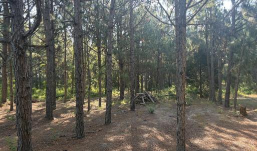 Photo #6 of Tbd Jones Spring Church, Ellerbe, NC 154.4 acres