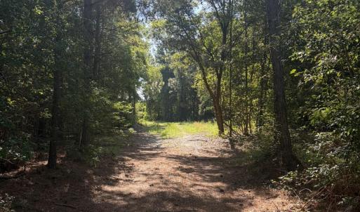 Photo #17 of Tbd Jones Spring Church, Ellerbe, NC 154.4 acres