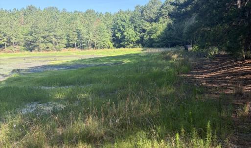 Photo #1 of Tbd Jones Spring Church, Ellerbe, NC 154.4 acres
