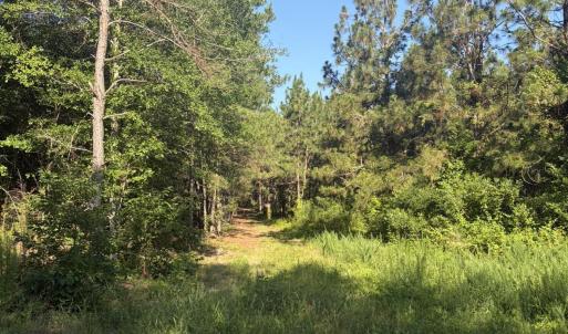 Photo #12 of Tbd Jones Spring Church, Ellerbe, NC 154.4 acres
