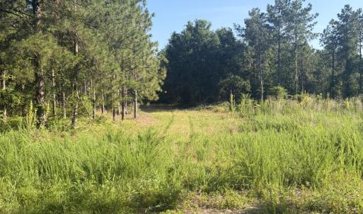 Photo #13 of Tbd Jones Spring Church, Ellerbe, NC 154.4 acres