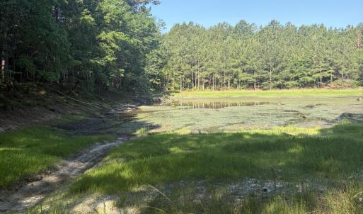Photo #2 of Tbd Jones Spring Church, Ellerbe, NC 154.4 acres