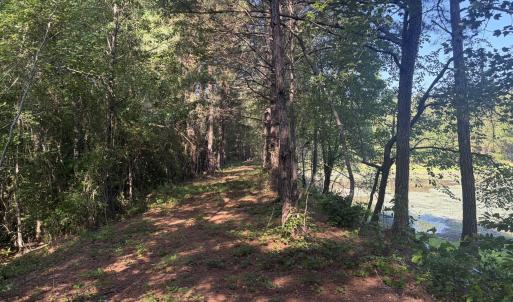 Photo #19 of Tbd Jones Spring Church, Ellerbe, NC 154.4 acres