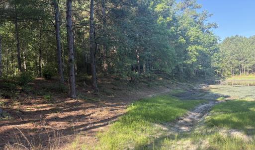 Photo #18 of Tbd Jones Spring Church, Ellerbe, NC 154.4 acres