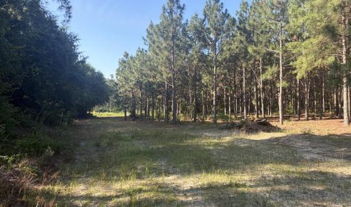 Photo #11 of Tbd Jones Spring Church, Ellerbe, NC 154.4 acres