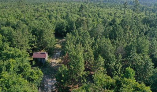 Photo #24 of Tbd Jones Spring Church, Ellerbe, NC 154.4 acres