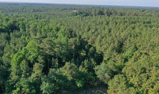 Photo #22 of Tbd Jones Spring Church, Ellerbe, NC 154.4 acres