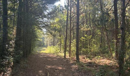 Photo #7 of Tbd Jones Spring Church, Ellerbe, NC 154.4 acres