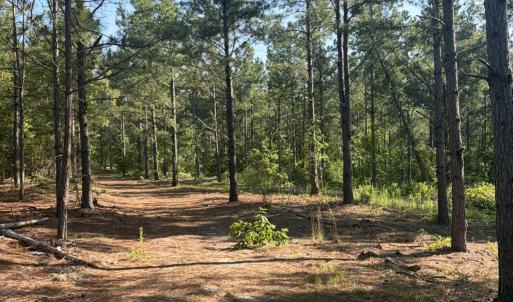 Photo #15 of Tbd Jones Spring Church, Ellerbe, NC 154.4 acres