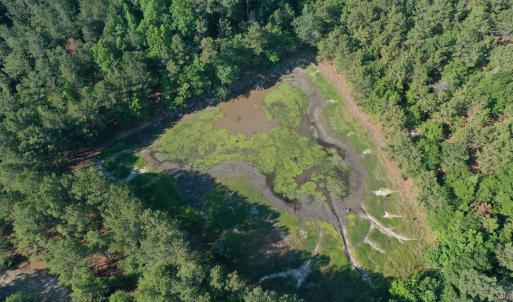 Photo #21 of Tbd Jones Spring Church, Ellerbe, NC 154.4 acres