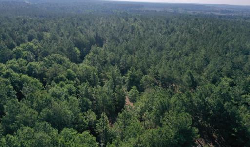 Photo #23 of Tbd Jones Spring Church, Ellerbe, NC 154.4 acres