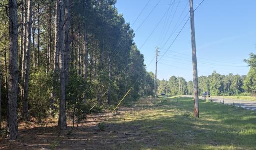 Photo #4 of Tbd Jones Spring Church, Ellerbe, NC 154.4 acres
