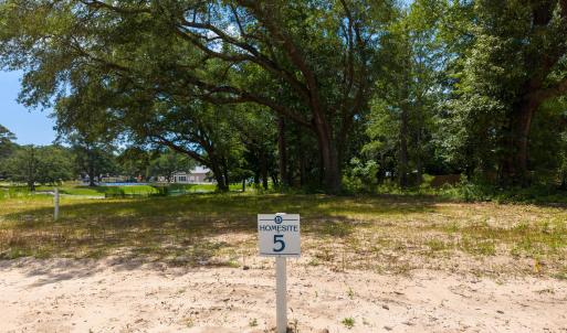 Delamar Lot 5 MLS-1
