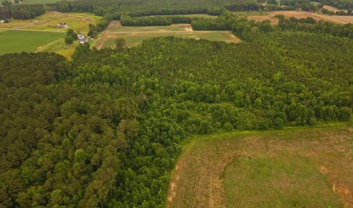 Photo #4 of Rains Crossroads, Princeton, NC 74.0 acres