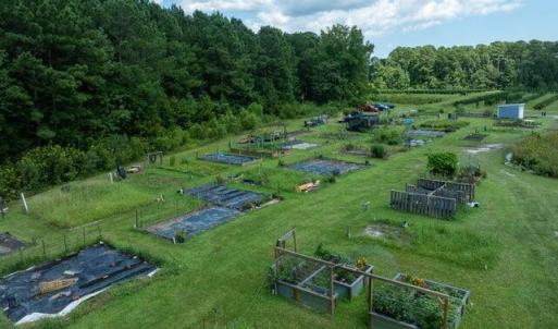 Photo #45 of 3627 White Cliffs, Castle Hayne, NC 0.3 acres